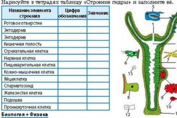 Как найти ссылку на блэкспрут