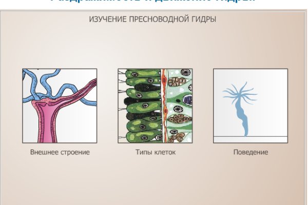 Как залить деньги на блэкспрут