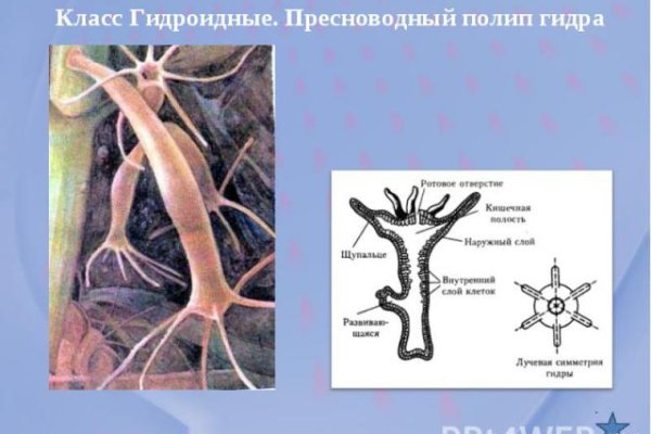 Кракен тор зеркало официальный сайт