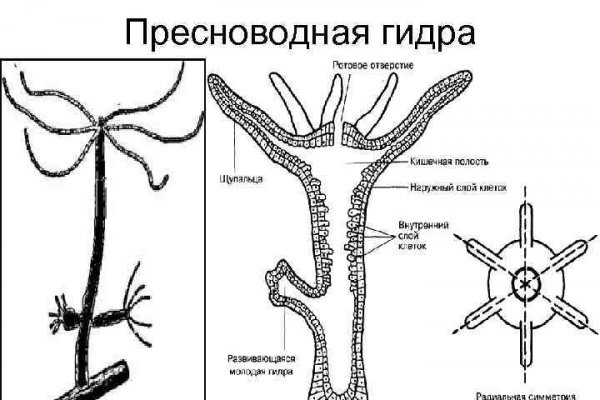 Ссылка на омг площадку рабочая